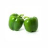 Capsicum