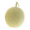 Muskmelon